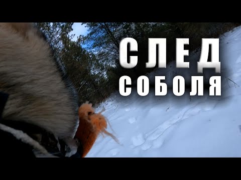 Видео: ЗАСАДИЛ УАЗ В ГРЯЗЕМЕС ПОД ЛЕД приключения НА ОХОТЕ