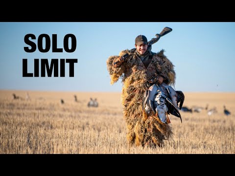 Видео: СОЛО Спек Лимит в костюме Гилли!! (КЕЙД БЫЛ В РАСПОРЯЖЕНИИ)