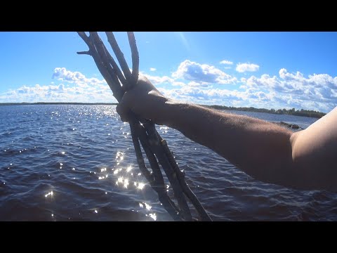 Видео: Камбалиная пешая Рыбалка Сетями на Белом море!Поехал на Электросамокате!