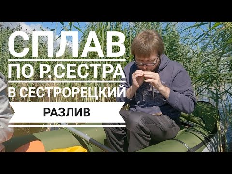 Видео: Сплав по реке Сестра и Сестрорецкому разливу