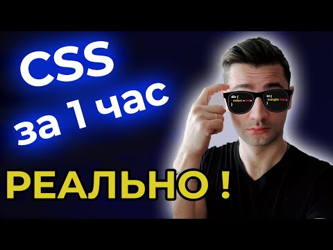 Видео: CSS за 1 час с нуля, ДЛЯ НАЧИНАЮЩИХ ! / Как выучить CSS