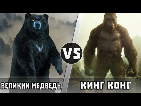 Видео: ВЕЛИКИЙ МЕДВЕДЬ vs КИНГ КОНГ