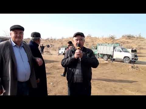 Видео: 24.02.22 Əжібек ақсақалдың немересі Жұмабектің бата алу көкпар  тойы.