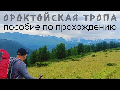 Видео:  Алтай. Ороктойская тропа к Белухе. Пособие по прохождению.