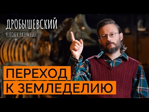 Видео: Как возникло сельское хозяйство и земледелие? // Дробышевский. Человек разумный