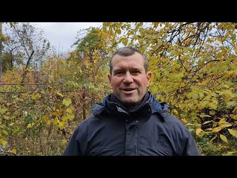 Видео: Почему бег помогает от депрессии одним больше чем другим?