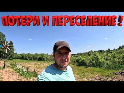 Видео: ПОТЕРИ В ХОЗЯЙСТВЕ ! ПЕРЕСЕЛЕНИЕ ! НОВЫЙ БОСС !