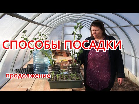 Видео: Способы посадки: Короба и гладкая копка
