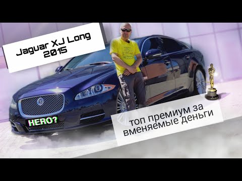 Видео: Оскар этой кошке | Jaguar XJL LONG 2015