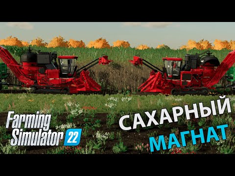 Видео: Сколько можно заработать на сахарном тростнике со старта в Farming Simulator 22