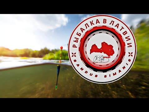 Видео: ловля на поплавок,трудовая рыбалка !GROUNDBAITS Special mix -  Choco MAGIC - Vanille Special Black!