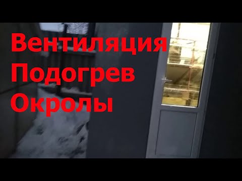 Видео: Компактный крольчатник. Зима. Окролы. Ветиняция. Подогрев.