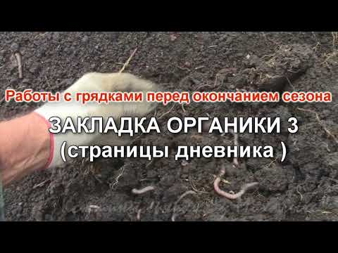 Видео: Работы с грядками  ЗАПРАВКА ГРЯДОК 3