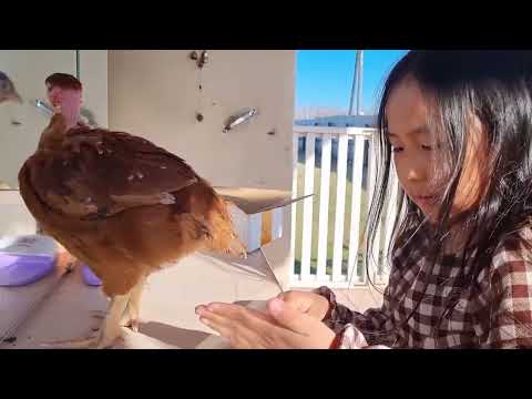 Видео: Ньукуолун күн