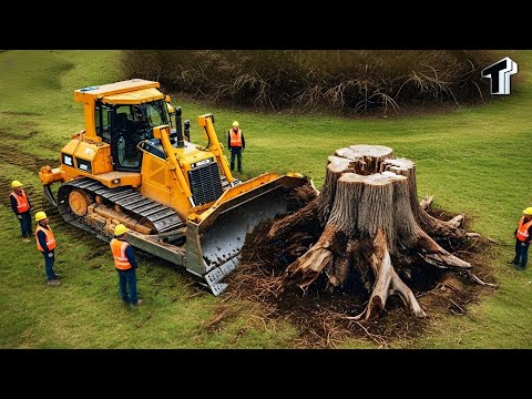 Видео: Потрясающие навыки оператора бульдозера настолько безумны, что можно подумать, будто они не насто...