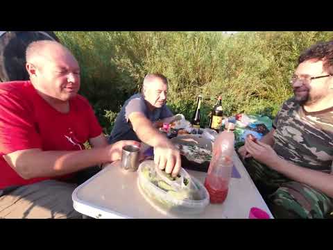 Видео: Тауш и Яков