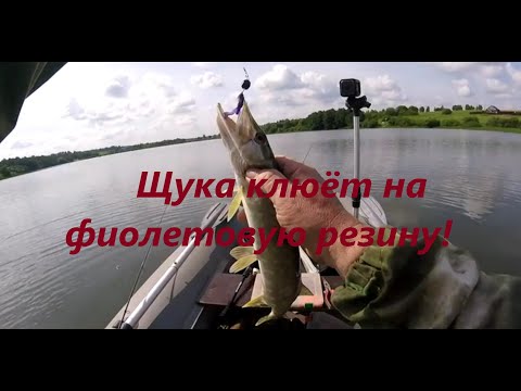 Видео: Щука клюёт на фиолетовую резину!!!