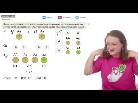 Видео: Разбор нового варианта СТАТГРАД №1 от 13.10.2025 | Вариант 1 | ЕГЭ-2025 по биологии