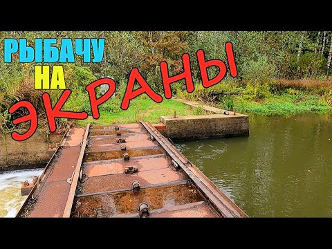 Видео: Рыбалка на ЭКРАНЫ. Поиск РЫБЫ по старым и новым местам.