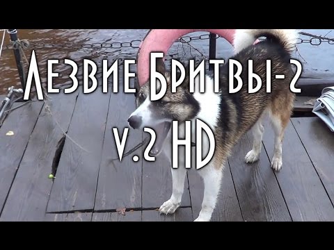 Видео: Рыбалка в тайге у Станового Хребта, Путешествие по таежной реке Зея