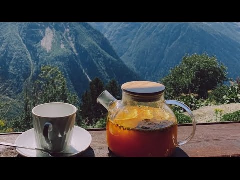 Видео: Информация с потока 💞