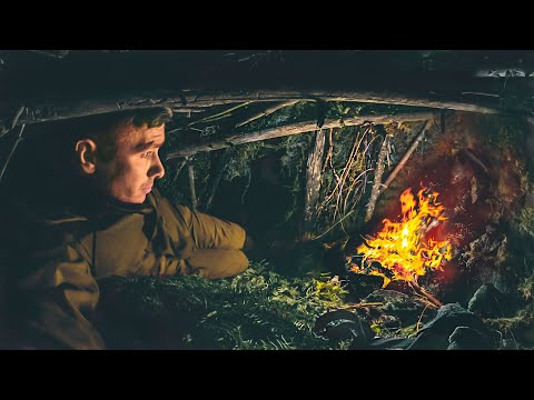 Видео: С МИНИМАЛЬНЫМ СНАРЯЖЕНИЕМ ОДИН В ТАЙГЕ | УКРЫТИЕ в ЛЕСУ, РЫСЬ с котятами, ВЫЖИВАНИЕ в дикой природе