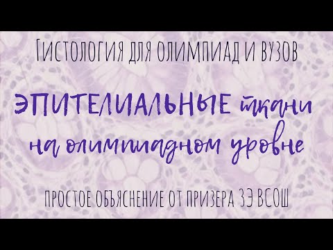 Видео: Эпителиальные ткани | гистология - все ткани человека для олимпиад и вузов!