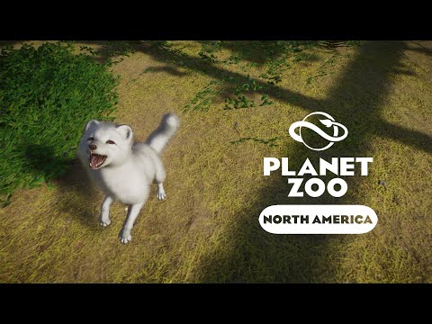 Видео: Planet Zoo: North America - Песец