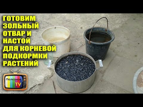 Видео: ГОТОВИМ ОТВАР И НАСТОЙ ИЗ ЗОЛЫ ДЛЯ КОРНЕВОЙ ПОДКОРМКИ РАСТЕНИЙ