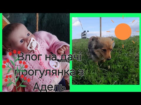 Видео: Влог на дачі😊прогулянка з Адель🥰все як із дитиною😙💐2 частина🦄