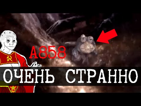 Видео: Дно интернета 35 (Epitaphios, Травник Лечебных Грибов, A858)