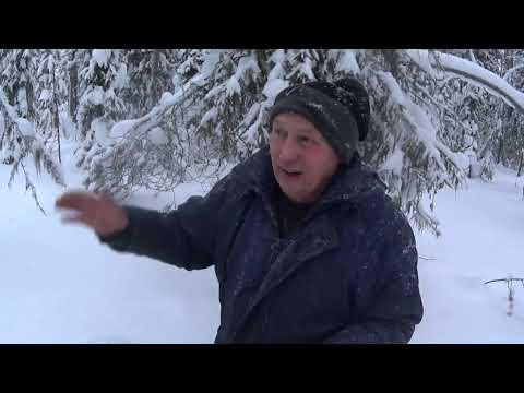 Видео: Топчу путик,снег держит хорошо для длинного бурана.