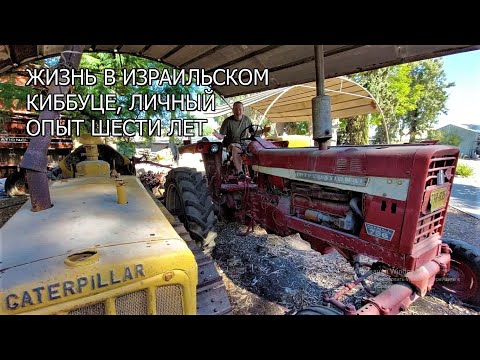 Видео: ИЗРАИЛЬ: ЖИЗНЬ В КИББУЦЕ, НАСТОЯЩИЙ КОММУНИЗМ, ЛИЧНЫЙ ОПЫТ
