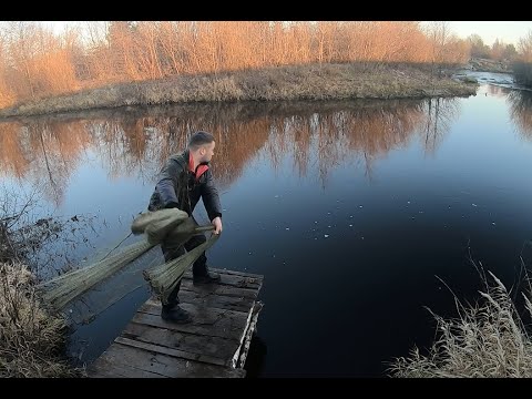 Видео: "ЭКСПЕРТ" показывает лучший способ заброса кастинговой сети.   Сарказм от браконьера)