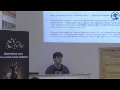 Видео: «Токсоплазмоз», С. В. Коняев