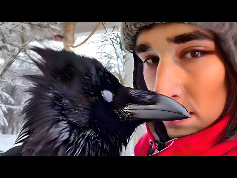 Видео: МОЙ ПРИЕМНЫЙ СЫН ВОРОН. Он считает себя человеком. Ну, как я его брошу?