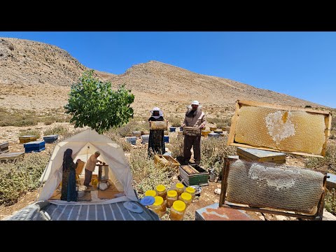 Видео: Сбор натурального мёда 🍯🐝: любовь и усилия трудолюбивой пары кочевников