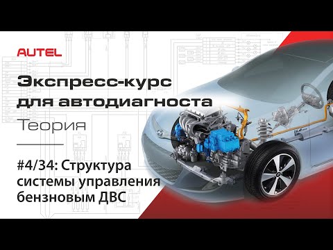 Видео: 4/34: Структура системы управления бензиновым ДВС. Экспресс-курс для автодиагноста / Теория  – ч.3.