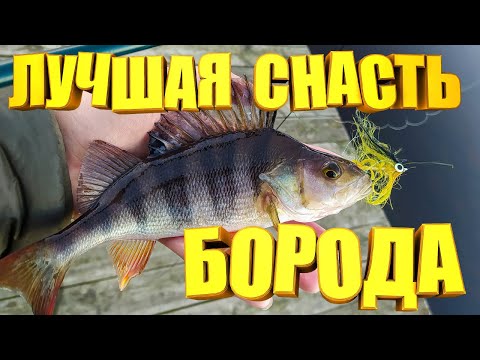 Видео: Эта ТАЙНАЯ приманка "БОРОДА" должна быть у каждого рыбака.  Джиг Стример БОРОДА для щуки и судака...