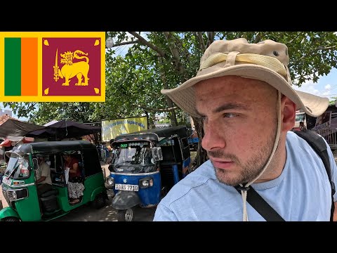 Видео: Возвращаемся в удивительную страну Шри-Ланку 🇱🇰