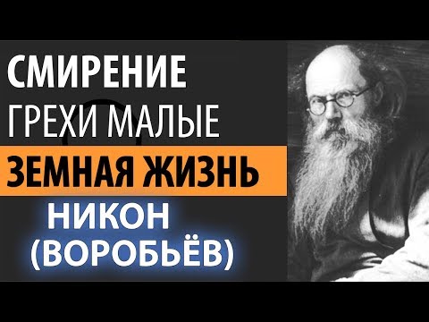 Видео: Помни для чего Живешь! Смирение и малый Грех. Никон (Воробьев)