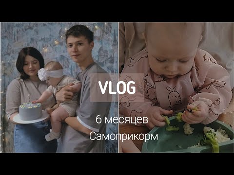 Видео: Домашний влог // самоприкорм и 6 месяцев