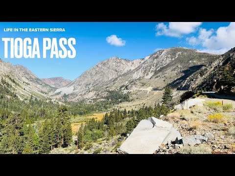 Видео: Давайте прокатимся по перевалу Тиога!