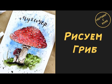 Видео: Как нарисовать Гриб. Уроки рисования для начинающих и для детей. How to draw Mushroom.