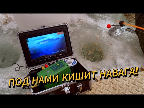 Видео: Опустили камеру, а там куча рыбы! | Зимняя рыбалка