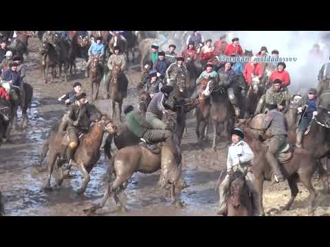 Видео: Алжан агамыздын кокпары Аккум Ч2 Horse-kokpar