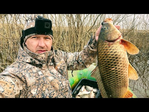 Видео: Рыбалка 2022 ЁКЛМН! Рыбалка на поплавок Рыбалка на хапугу Рыбалка на паук подъемник. Рыбалка с лодки