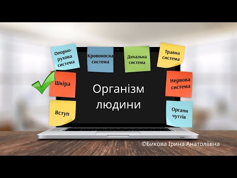 Видео: Організм людини: шкіра
