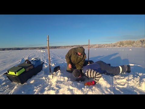 Видео: РЫБА УШЛА в КОРЯГИ!!! ПРИШЛОСЬ ПОПОТЕТЬ ЧТО БЫ ЕЁ ВЫТАЩИТЬ!!! РЫБАЛКА в РОЖДЕСТВО.