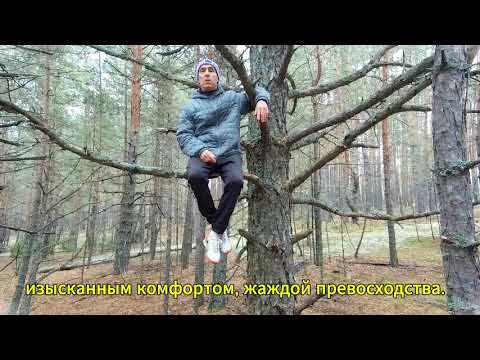 Видео: Здоровое тело  Питание  Ловушка